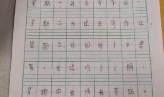 二年级日记写题目吗 小学二年级日记